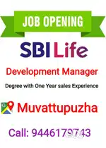 Development Manager