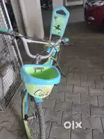 Bsa Dyno cycle