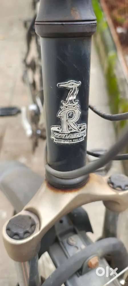 Raleigh Terrain 30 MTB