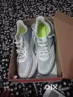 New Redtap shoe