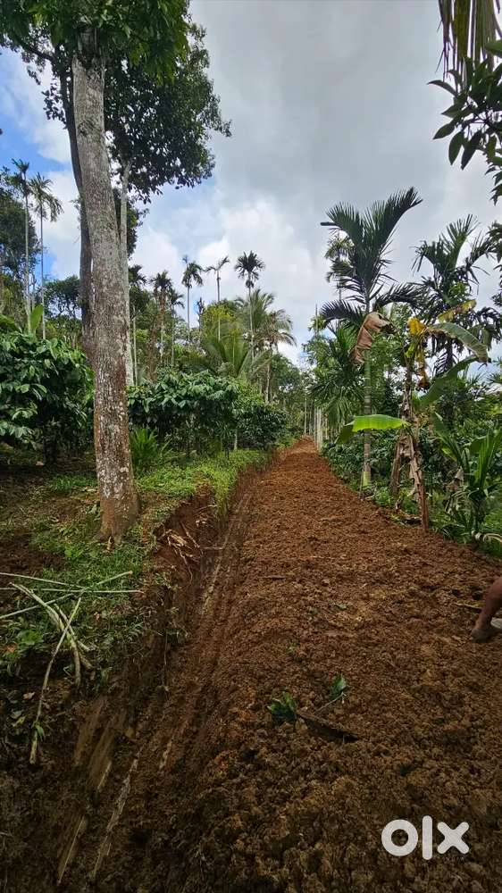 1 acr 10 cent 65 kara 45 vayal Janma pattayam