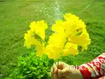 Commercial plot near Bhardwaj Hotl, Mandi Rd Karnal, Shani Mandir Gali