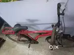 Xcello Xintegra mountain cycle