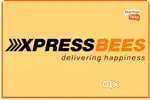 Delivery Boy executive