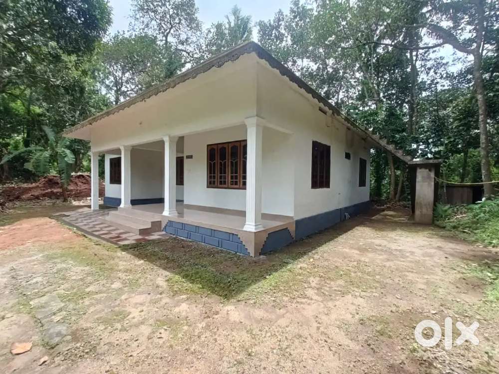 Individual house