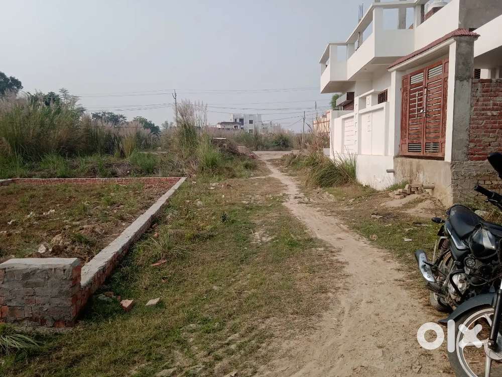 रोड से 50 मीटर प्लाट