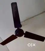 Ceiling Fan