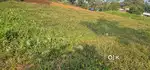 kothamangalam valiyapara price 1 Lack per cent