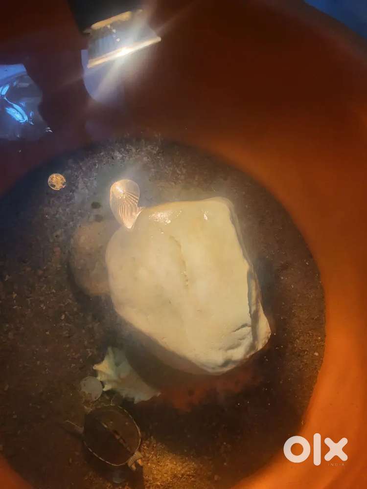 Tub [ read description]