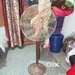 Fhan Good candison