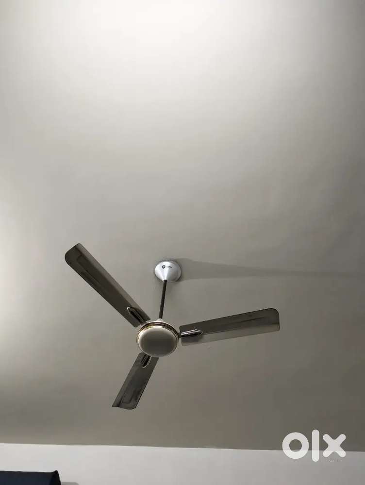 Newly built floor for rent