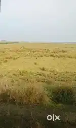 balighata bhudan chhaka