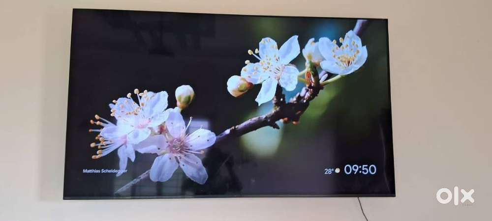 Sony Bravia OLED XR65A80L