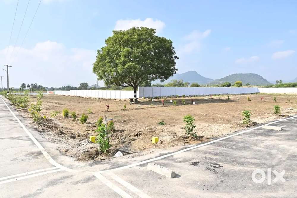 இயற்கை சூழல் நிறைந்த அழகிய வீட்டுமனைகள்