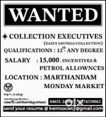 COLLECTION EXECUTIVE