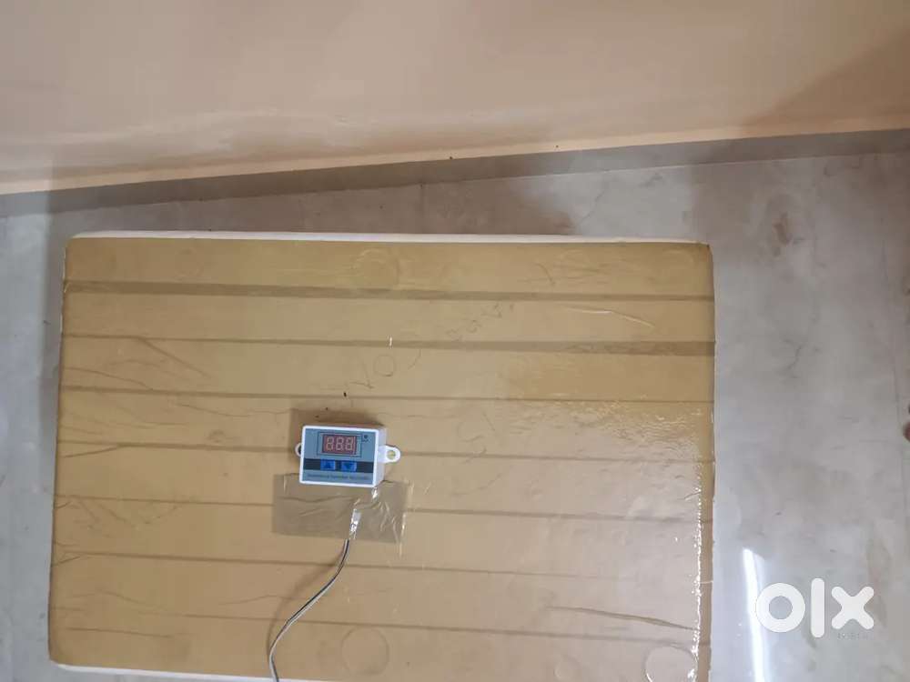 Incubator for hatching all eggs