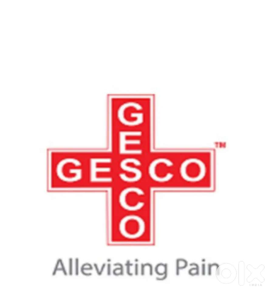 Delivery Executive