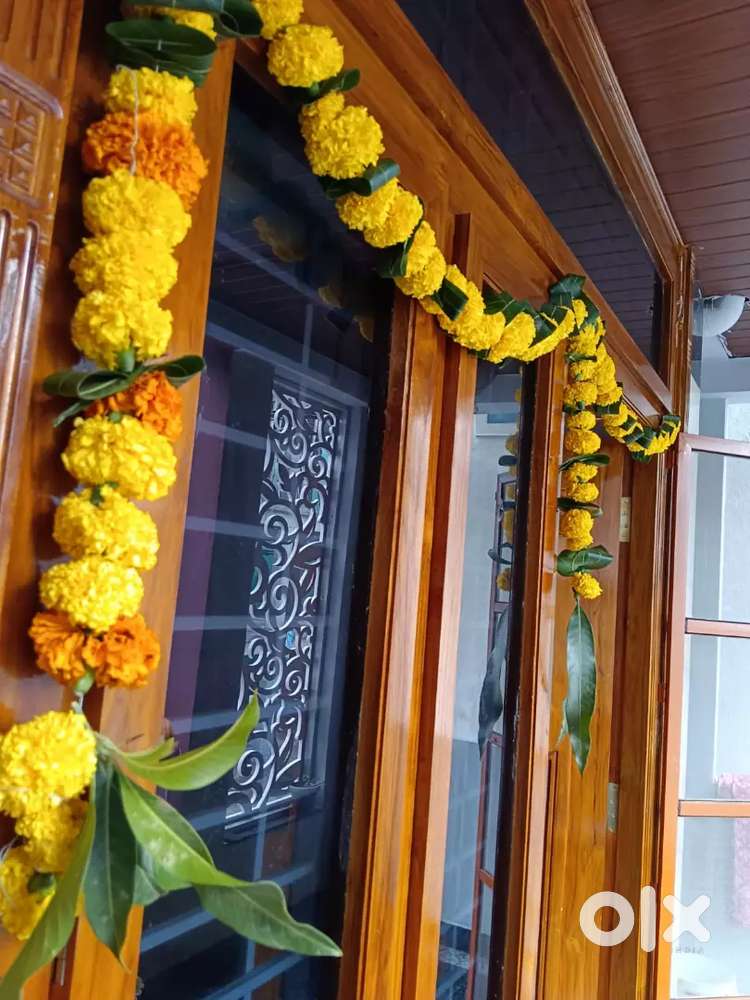 2bhk individual house for rent