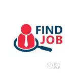(Freshers welcome) Contract-Based Job in a Government Office