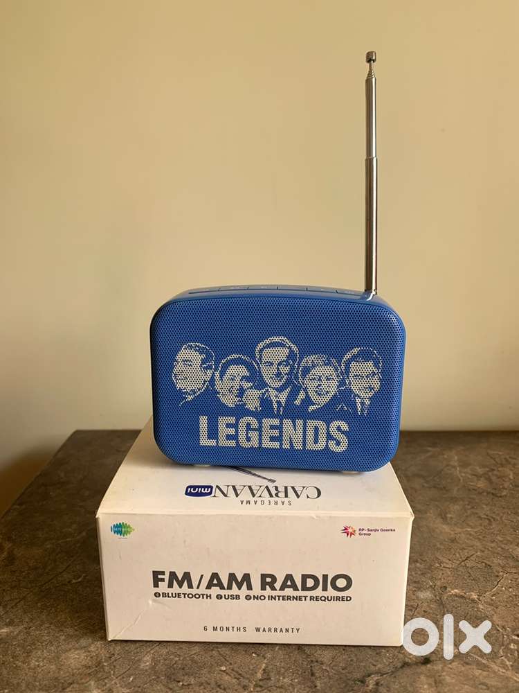 Carvaan Mini Saregama