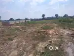 6 begha Farm land near bilaspur on road