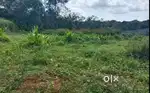 Land for sale at ponkunnam
