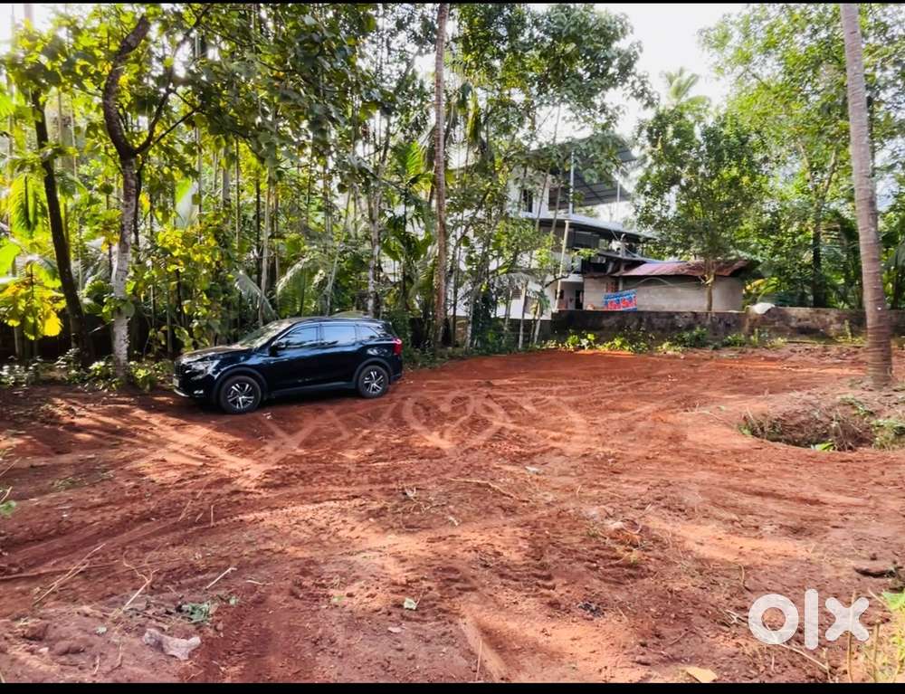13.75cent per lakhs asking 2.55lakhsnear changaramkulam   Kanjoor