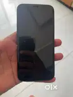 12 pro 256 gb