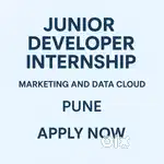 Junior Developer Internship  Marketing & Data Cloud  Stipend ₹5,000