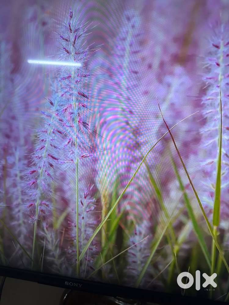 3 floor for rent small and decent family 2 portions available