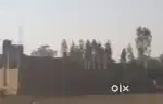 Urgent sel karna hai