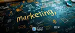 Need Marketing Boy