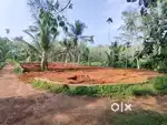 20 cents of land