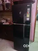 New fridge