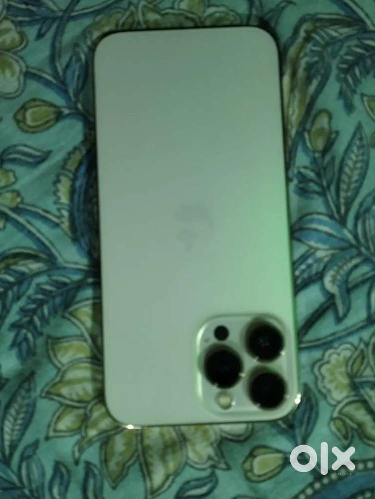 iPhone 13 pro max