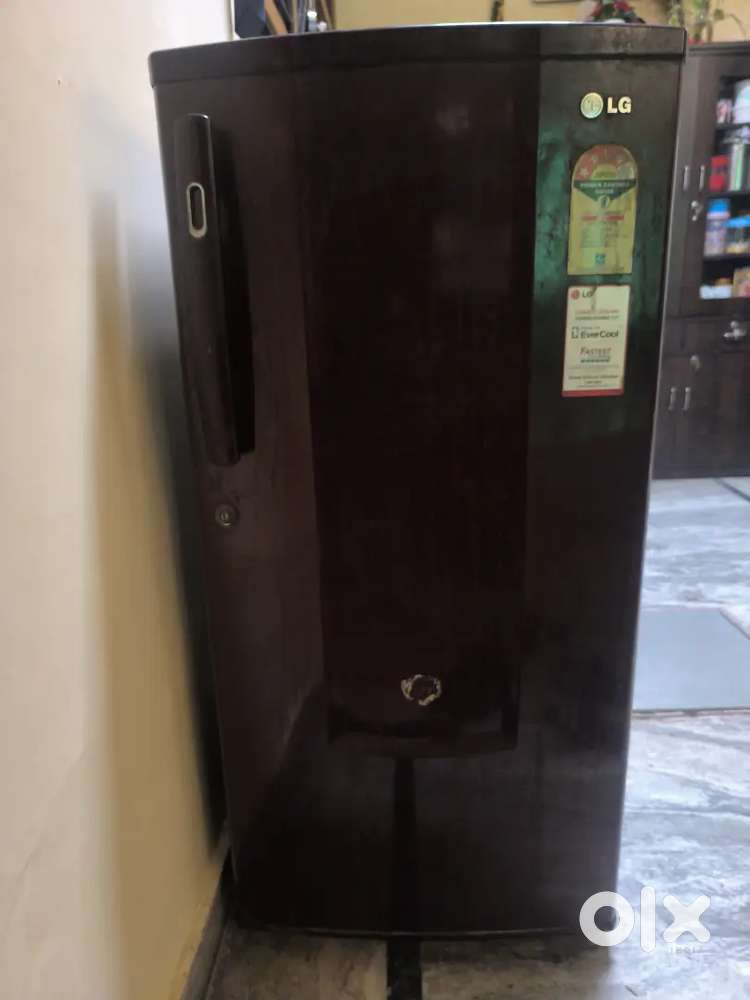 LG 185 Litre Single Door Fridge – Good Condition, Minor Parts Missing
