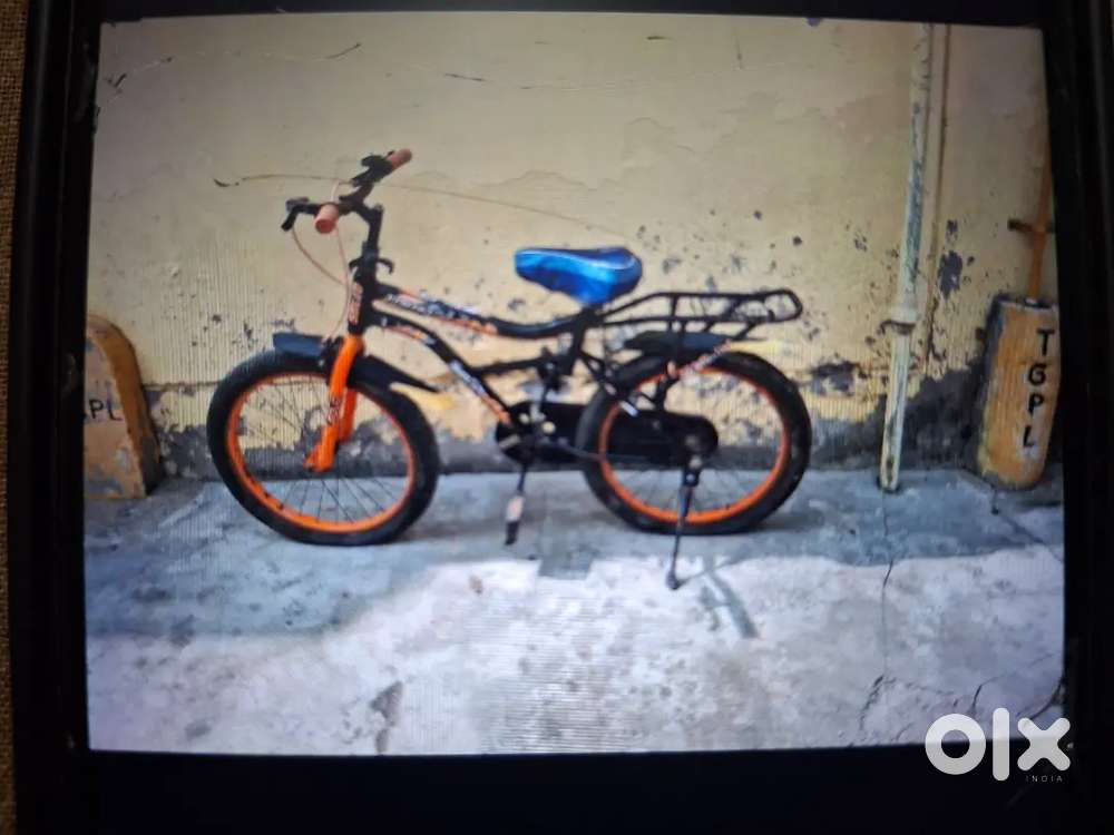 6 Year  Child Cycle