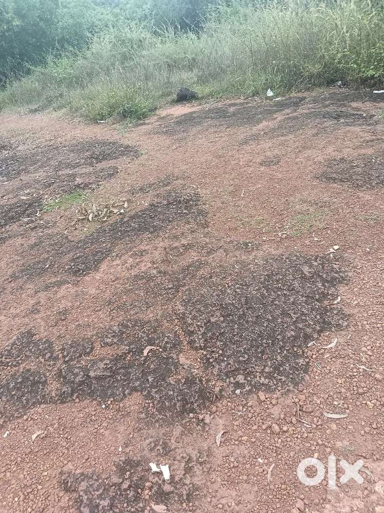 ഒന്നര ഏക്കർ പാറ കല്ല് മുറിക്കാൻ പറ്റിയ സ്ഥലം