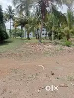 Land for sales