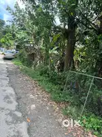 20 cent square plot