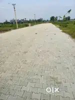 Newly launch project