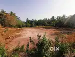 Limited Time Offer! New Price! Panunda Road Bus Stop Area50 Cent Plot