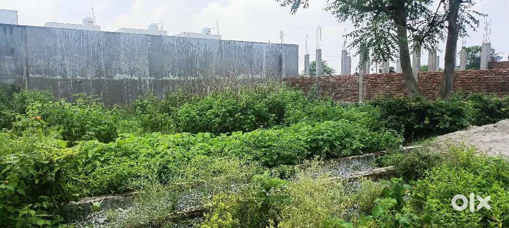 2500sq feet Plot available for sell