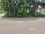 3 cent Commercial plot.