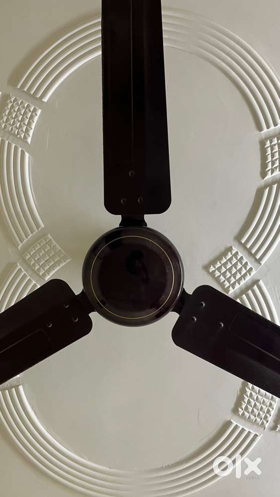 New Brand Crompton Brown Fan with Bill