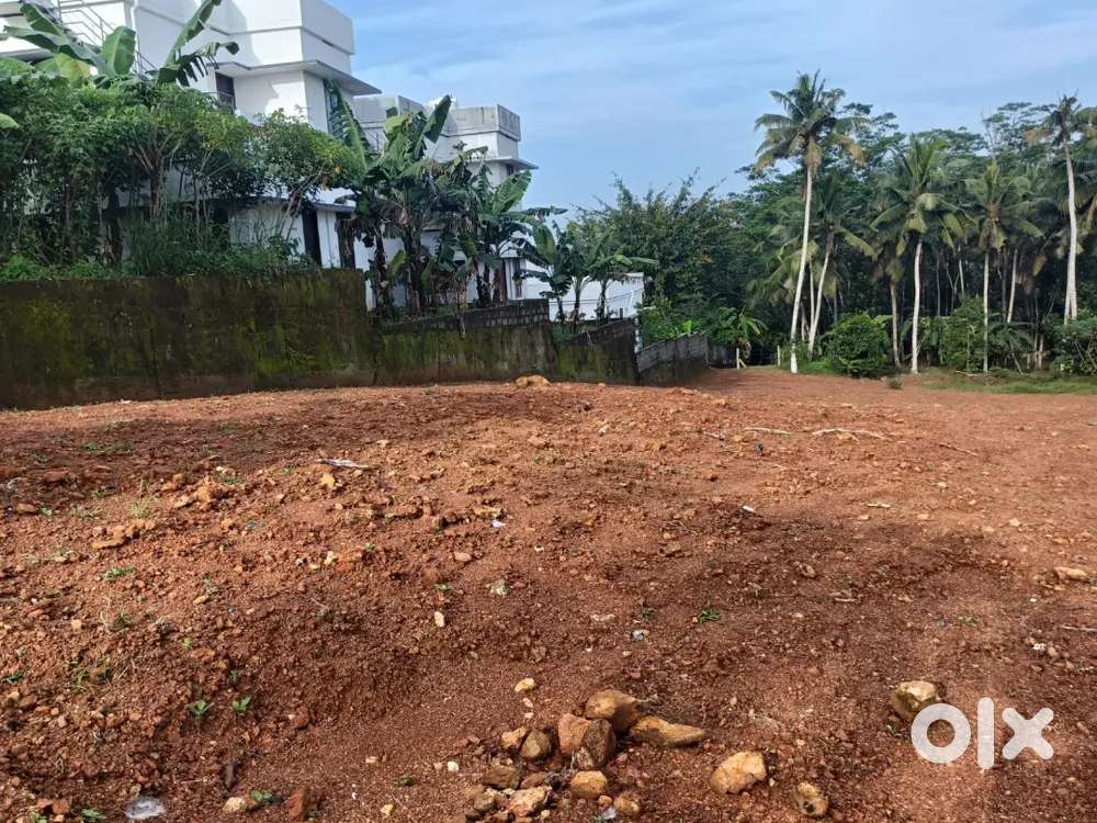 50 സെന്റ് വസ്തു വില്പനക്ക്