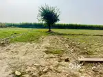 Plot near lachiwala highway @16000/ sq yd