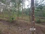 1 acer land for sale