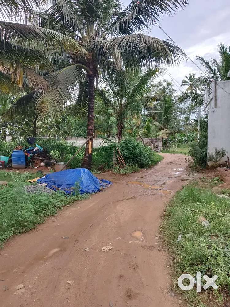65 Cent Land for Sale in Pambanvilai Santhapuram,Next to Asaripallam