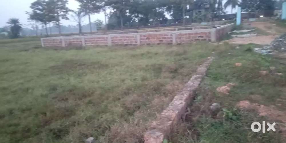 My own gharabari plot for urgent sale , near pipili toll gate gurusahi